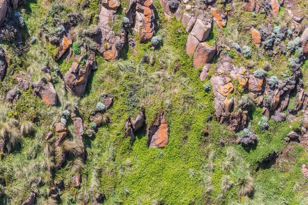 Een klif op Phillip Island, oranje en groene kleuren — Stockfoto