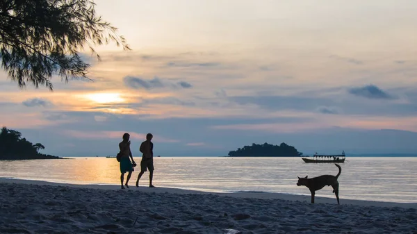 Gün doğumunda bir köpek sahile işiyor. Arka planda Yürüyen Tekneler, Okyanus ve Gündoğumu