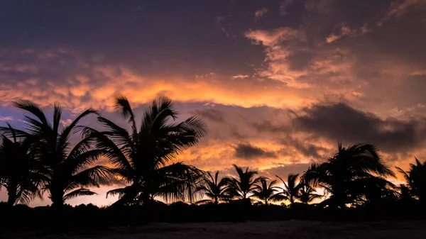 日の出コ栄島フォームロングビーチ、ヤシの木のシルエット、オレンジと青の色 — ストック写真
