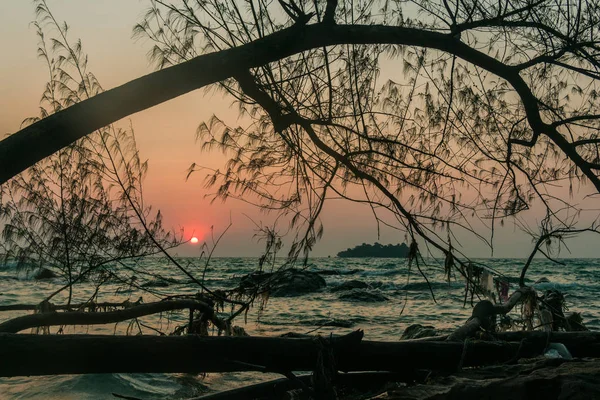 コロン島の日の出の木のシルエット — ストック写真