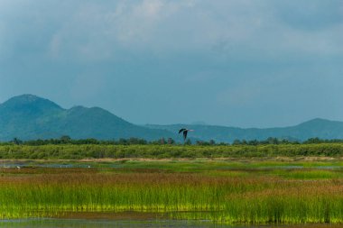 Kamboçya 'daki Bokor Dağı Ulusal Parkı.