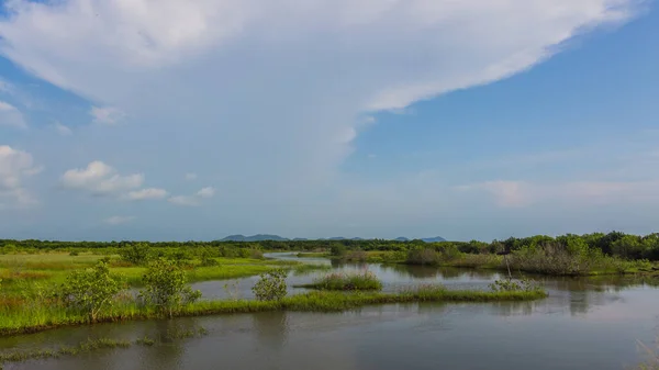 Kamboçya 'daki Bokor Dağı Ulusal Parkı.