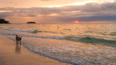Koh Rong Samloem, Kamboçya 'da gün doğumu