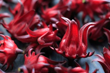 Bir tahta üzerinde taze Roselle