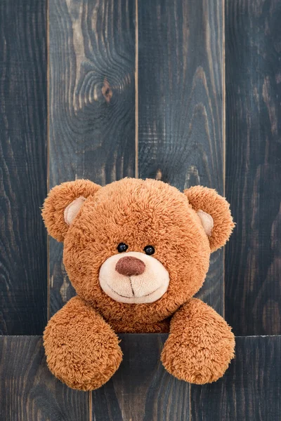 Lindo oso de peluche — Foto de Stock