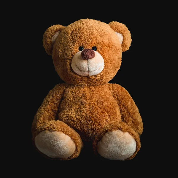 Leuke Teddyberen Zwarte Achtergrond — Stockfoto