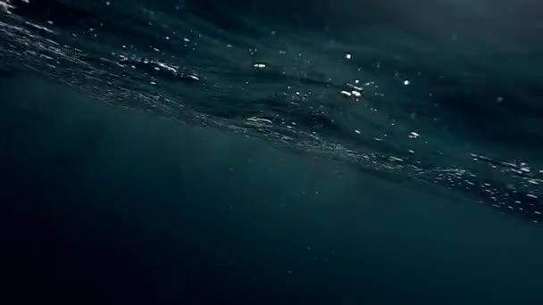 Clip de cámara lenta de una vaina de delfines nadando junto a un barco, con audio — Vídeo de stock