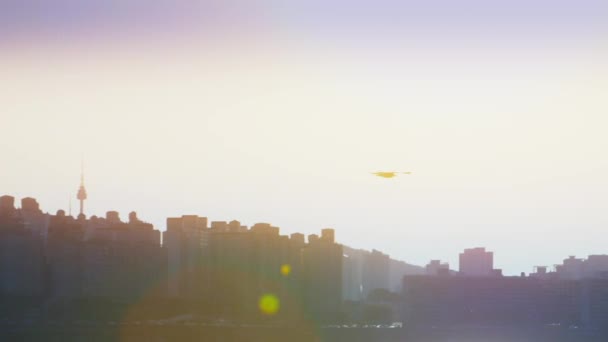 Captura de seguimiento en cámara lenta de una gaviota volando sobre el río Han y el horizonte de Seúl al atardecer — Vídeos de Stock