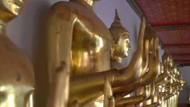 Langs een rij gouden Boeddhabeelden het abhaya gebaar makend in Wat Pho Temple, Thailand — Stockvideo