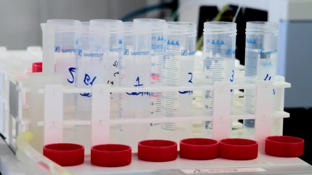Bir laboratuvar ortamında bir grup plastik ölçüm silindirini kapat — Stok video