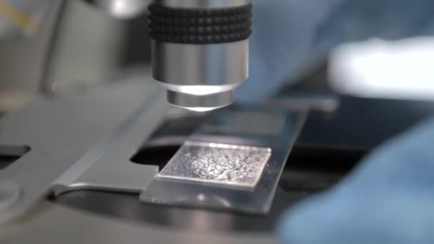 Primer plano de las manos enguantadas poniendo una diapositiva de vidrio bajo un microscopio — Vídeos de Stock