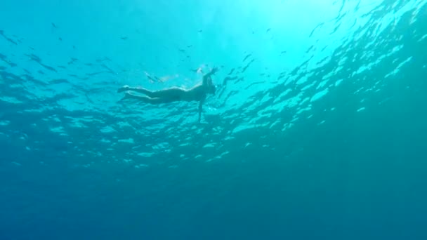 A girl swimming on the surface with a snorkel, in deep open water — Stock Video