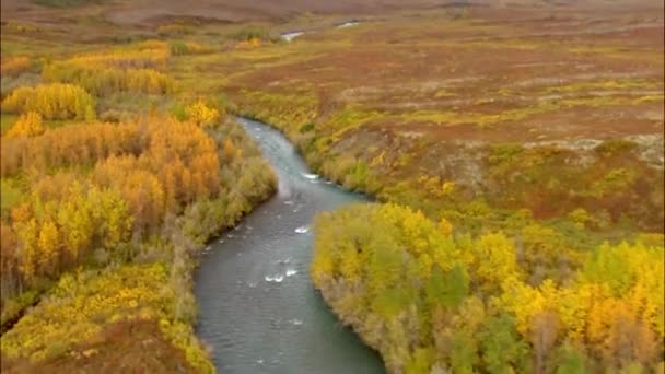 Images aériennes survolant une forêt et une rivière en Alaska à l'automne 