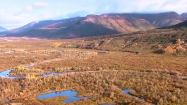 Imágenes aéreas volando sobre un bosque y un río en un valle de Alaska en el otoño — Vídeos de Stock