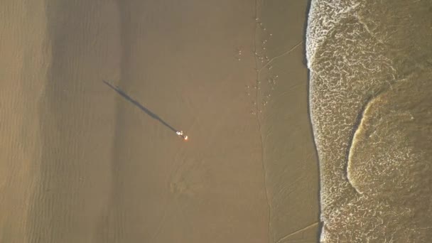 Riprese aeree di persone in piedi su una spiaggia vicino alla costa — Video Stock