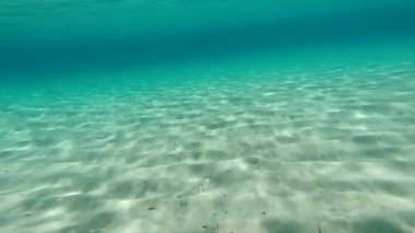 Sığ sularda yüzmek.