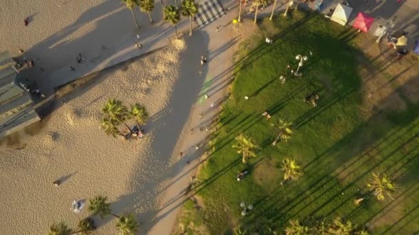 Luftaufnahme nach dem venezianischen Beackradweg in la — Stockvideo