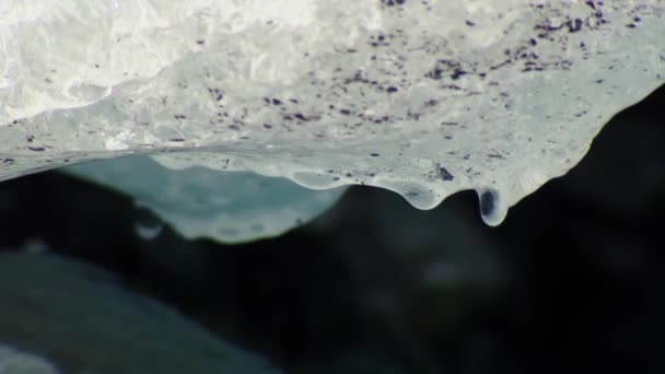 Gros plan sur la fonte de la glace d'un glacier en Alaska — Video