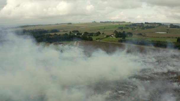Летит сквозь облако дыма, где происходит контролируемый пожар на фермерском поле, Квазулу-Наталь, Южная Африка — стоковое видео