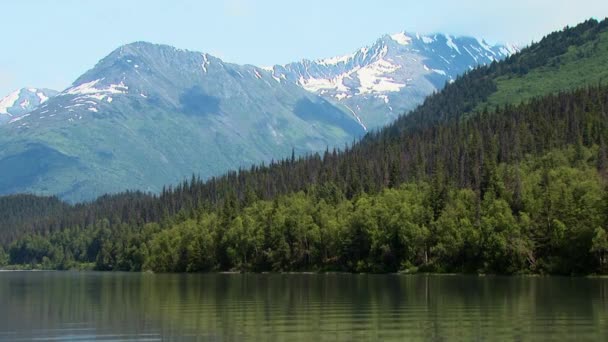 アラスカで撮影された穏やかな水で森と山のシーン — ストック動画