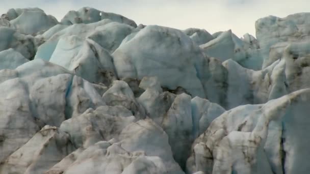 Alaska 'daki buzul sahanlığında geziniyor. — Stok video