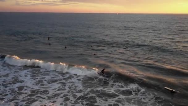 Panorámica de los surfistas en el mar a la playa — Vídeos de Stock