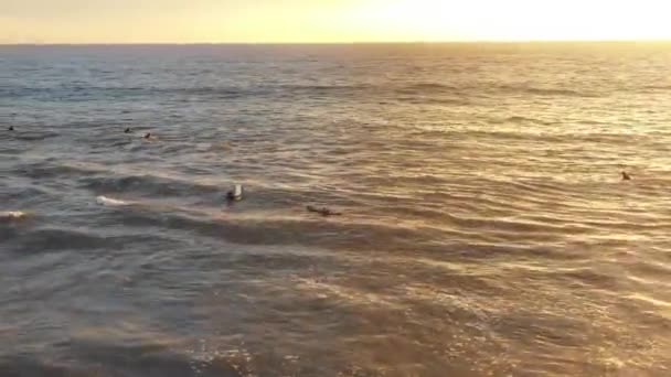 Panning shot των σέρφερ καταπολέμηση κύματα — Αρχείο Βίντεο