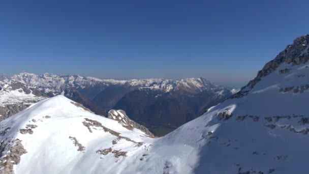 Paraglider in de Alpen — Stockvideo