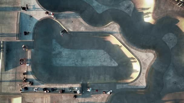 Aerial view of a skatepark on Venice Beach LA — Stock Video