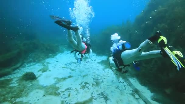 Mergulhadores subaquáticos no Rio San Marcos — Vídeo de Stock