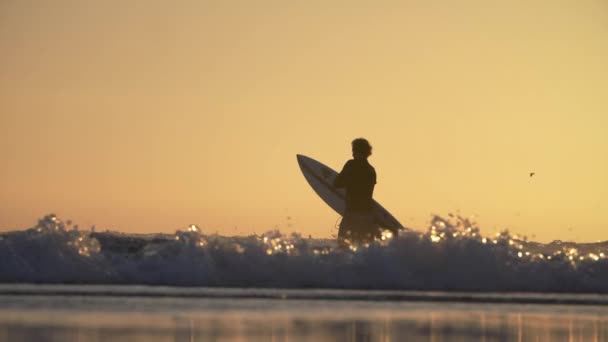 Disparo en cámara lenta de surfista de pie en el mar — Vídeos de Stock