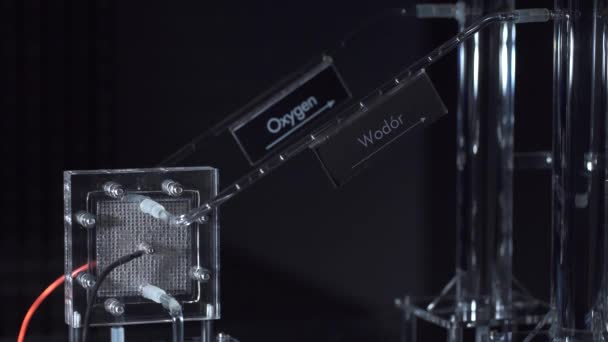 Tudományos cső szűrő víz és oxigén egy laborban — Stock videók