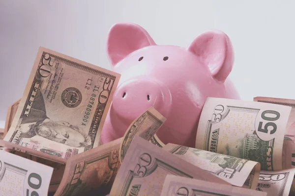 Arka planda domuz stili para kutusu ve Amerikan yüz dolarlık banknotlar