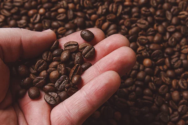 Närbild av fingrar visar rostat kaffe bean — Stockfoto