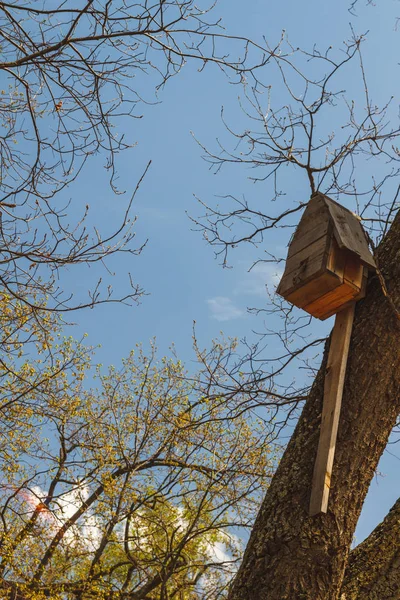 Vogelhaus auf einem Baum im Waldpark — Stockfoto