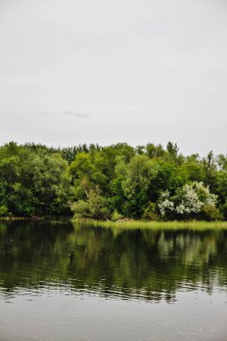 Nehirdeki ağaçların yansıması