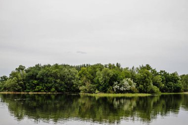 Nehirdeki ağaçların yansıması