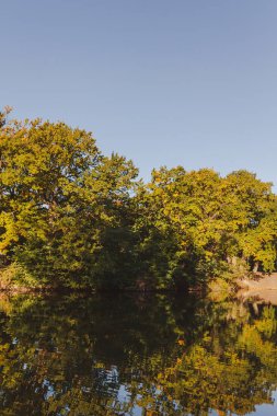 sonbahar orman ve göl