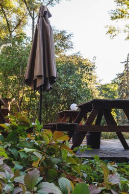 Sonbahar sonbahar kapalı barda Park