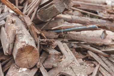 hurda ahşap parçaları yığını