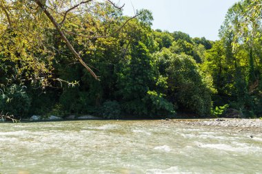 Dağlardaki nehir. Dağlık bölge. fotoğraf uzun pozlama üzerine,