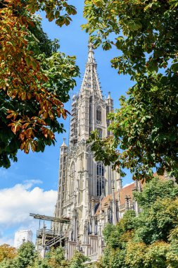 İsviçre 'de, Bern Minster' ın ağaçlar çerçevesindeki görüntüsü