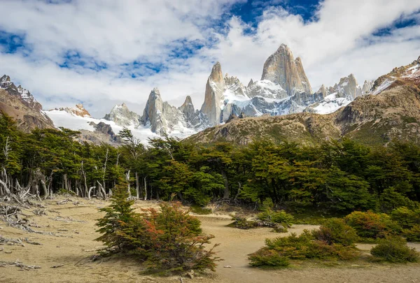 Mt. Fitz Roy yeşil ağaçlar ile