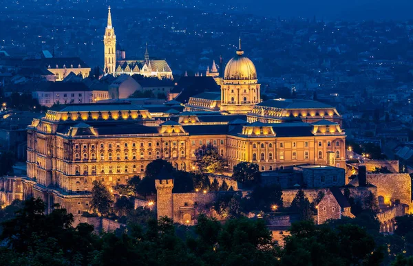 Buda slott i Budapest — Stockfoto