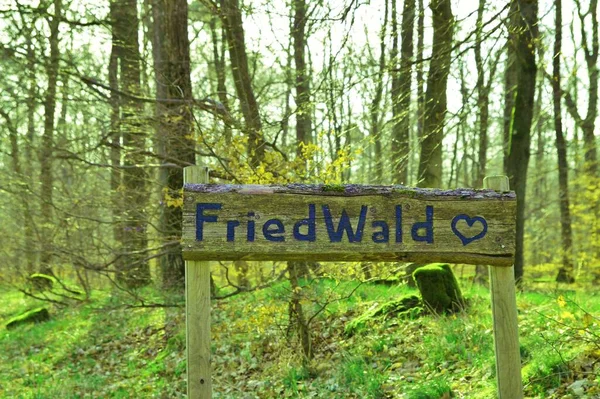 sign in german language, text Friedwald- forest cemetery. natural funerals in woodland, Natural burial, graves in the forest. tree burial, cemetery and and All Saints Day concepts. known as Friedwald or Ruheforst in germany