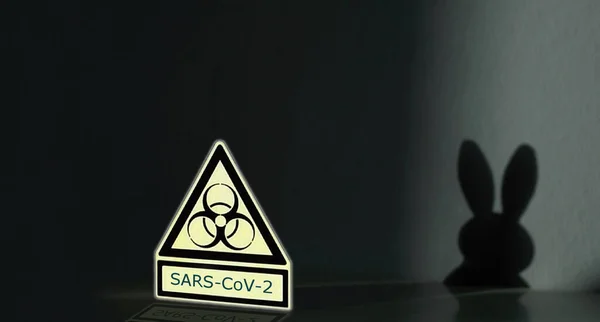 ellow warning sign for biological hazards and the message SARS-CoV-2 next to the wall. shadow on the wall. shadow of easter rabbit on wall. easter symbol for coronavirus infection COVID-19