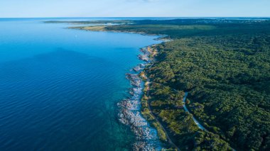 Dron, yeşil orman ve kayalık sahil sahil şeridi görünümünden