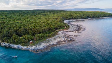 Dron, yeşil orman ve kayalık sahil sahil şeridi görünümünden