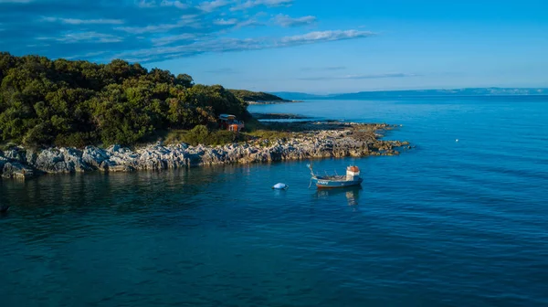 Dron, yeşil orman ve kayalık sahil sahil şeridi görünümünden