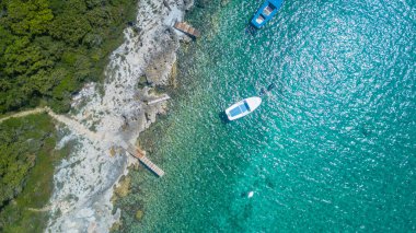 Dron, yeşil orman ve kayalık sahil sahil şeridi görünümünden